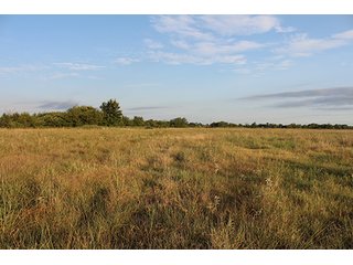 Tract 8 - LAND AUCTION - 440+/- Acres offered in 15 Tracts in Tulsa County